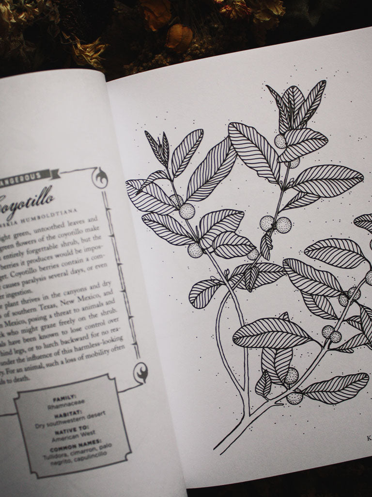 The Wicked Plants Coloring Book - Rite of Ritual