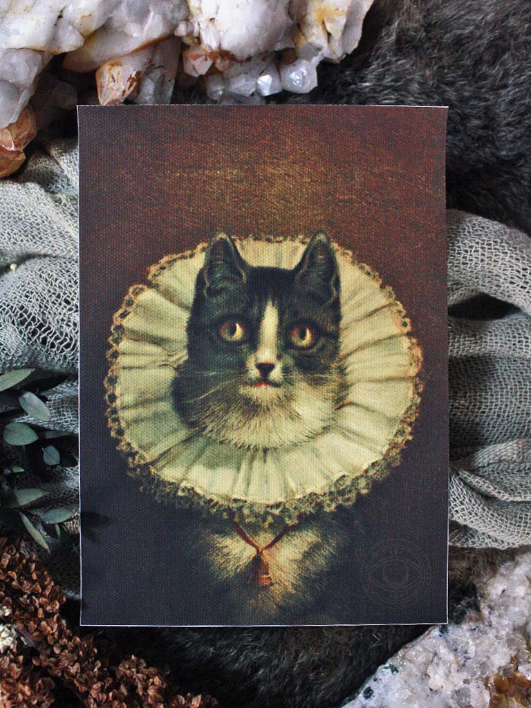 The Widow Cat Giclee Art Prints