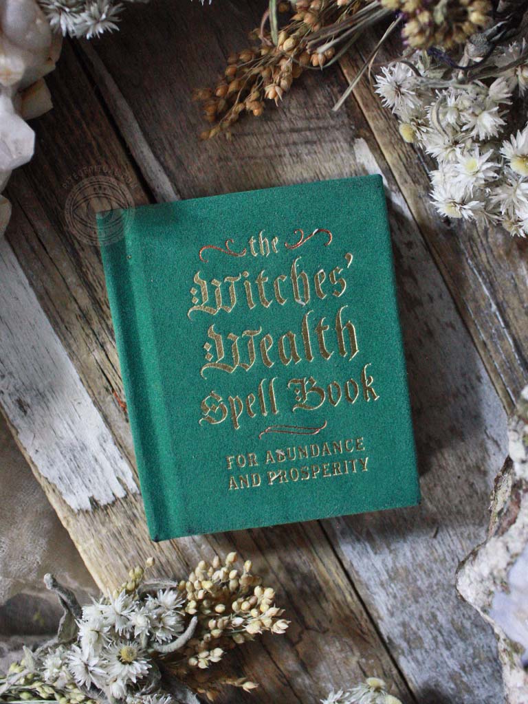 The Witches' Wealth Spell Book - For Abundance and Prosperity