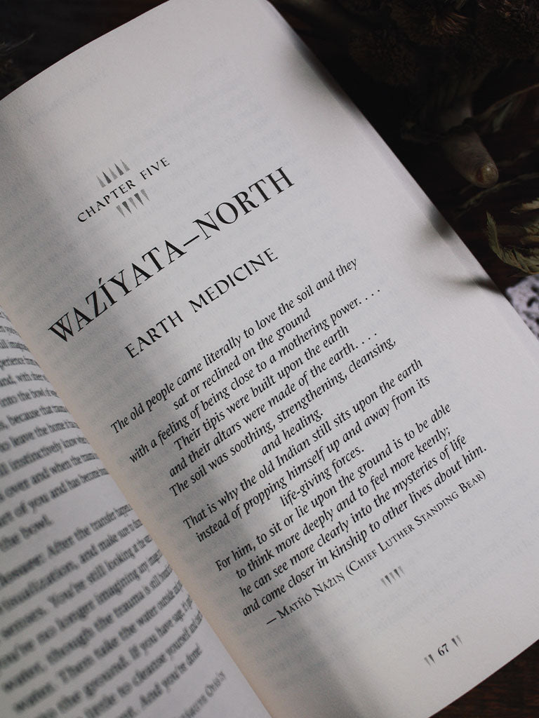 Think Indigenous - Native American Spirituality for a Modern World