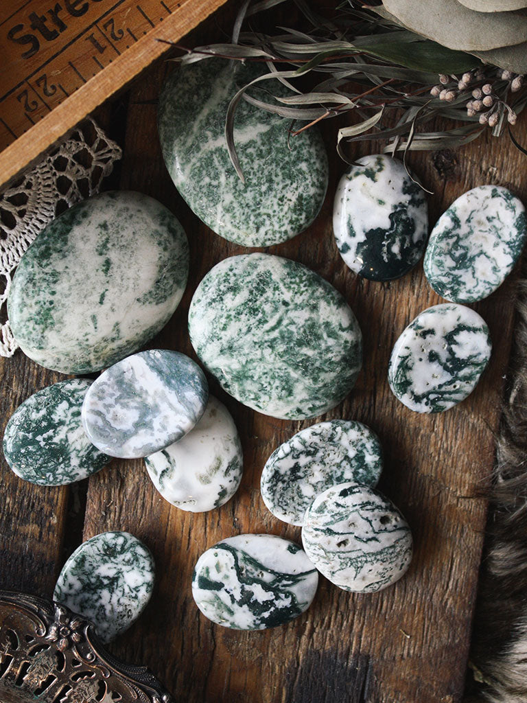 Tree Agate Palm + Pocket Stones