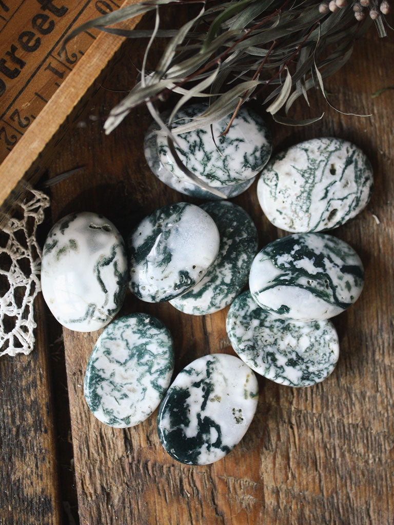 Tree Agate Palm + Pocket Stones