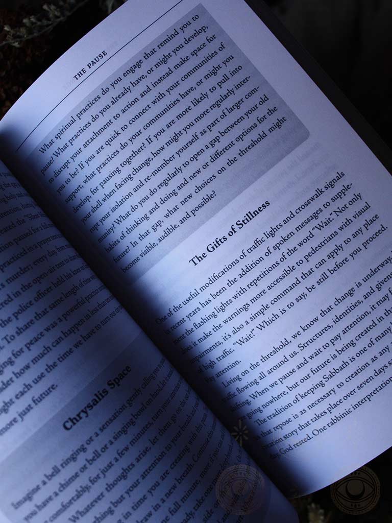 Trusting Change - Finding Our Way Through Personal and Global Transformation