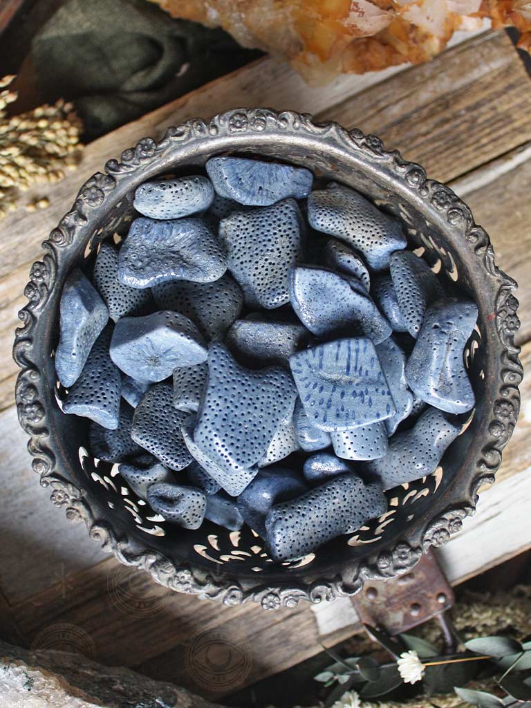 Tumbled Agatized Coral