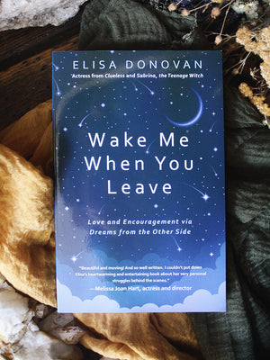 Wake Me When You Leave - Love and Encouragement Via Dreams from the Other Side