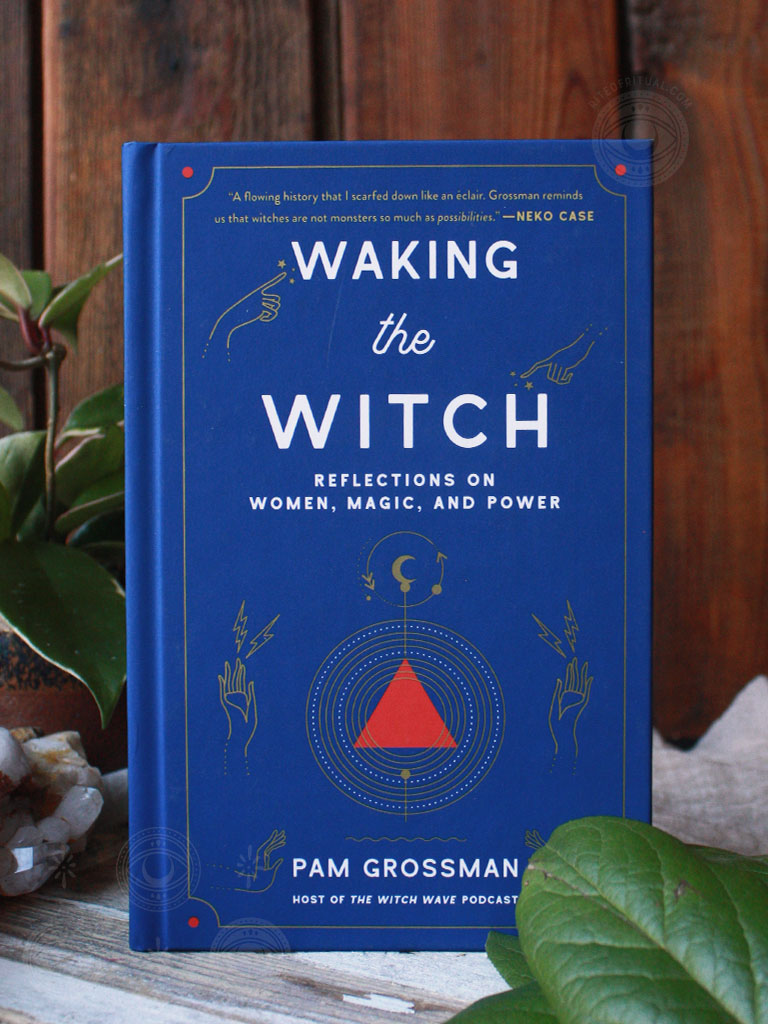 Waking the Witch Book