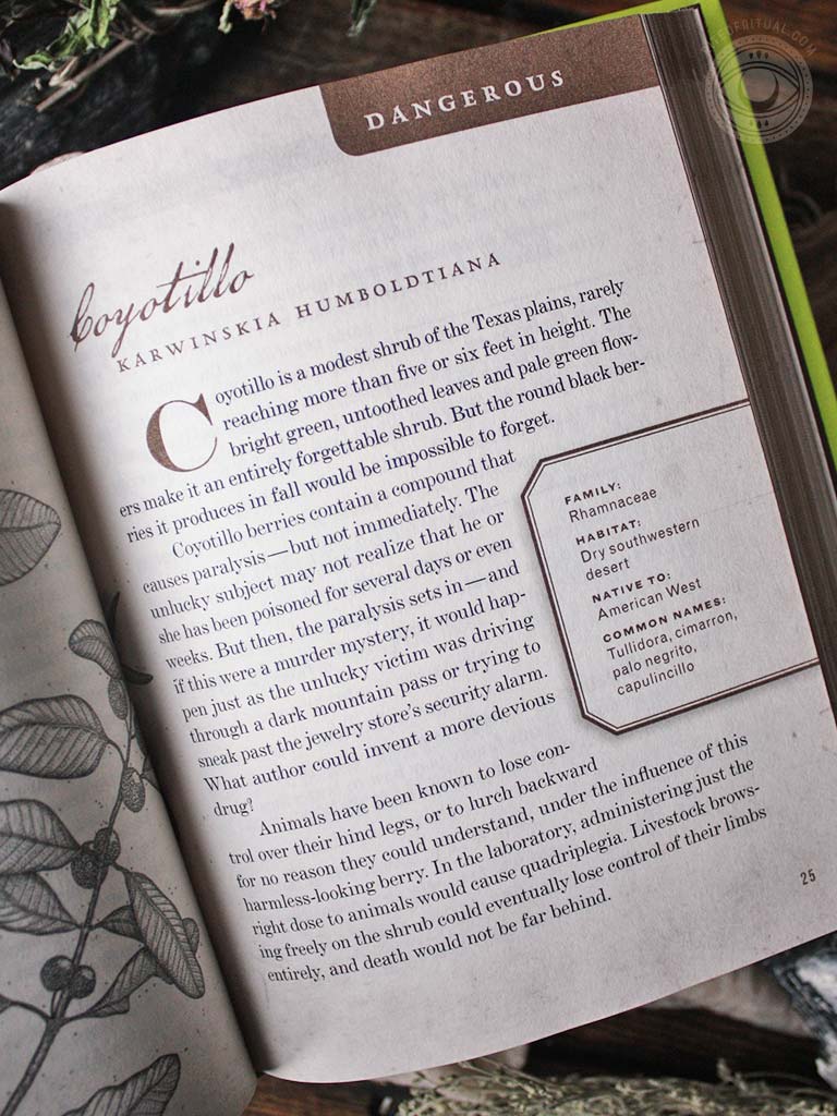 Wicked Plants - The Weed That Killed Lincoln's Mother and Other Botanical Atrocities