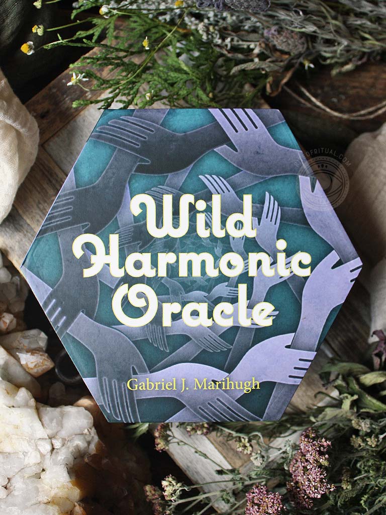 Wild Harmonic Oracle Cards