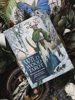 Wild Wood Tarot