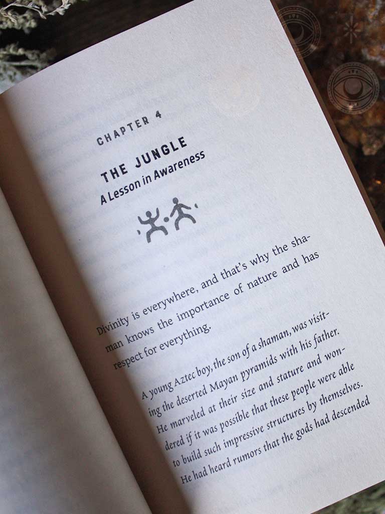 Wisdom of the Shamans - What the Ancient Masters Can Teach Us about Love and Life