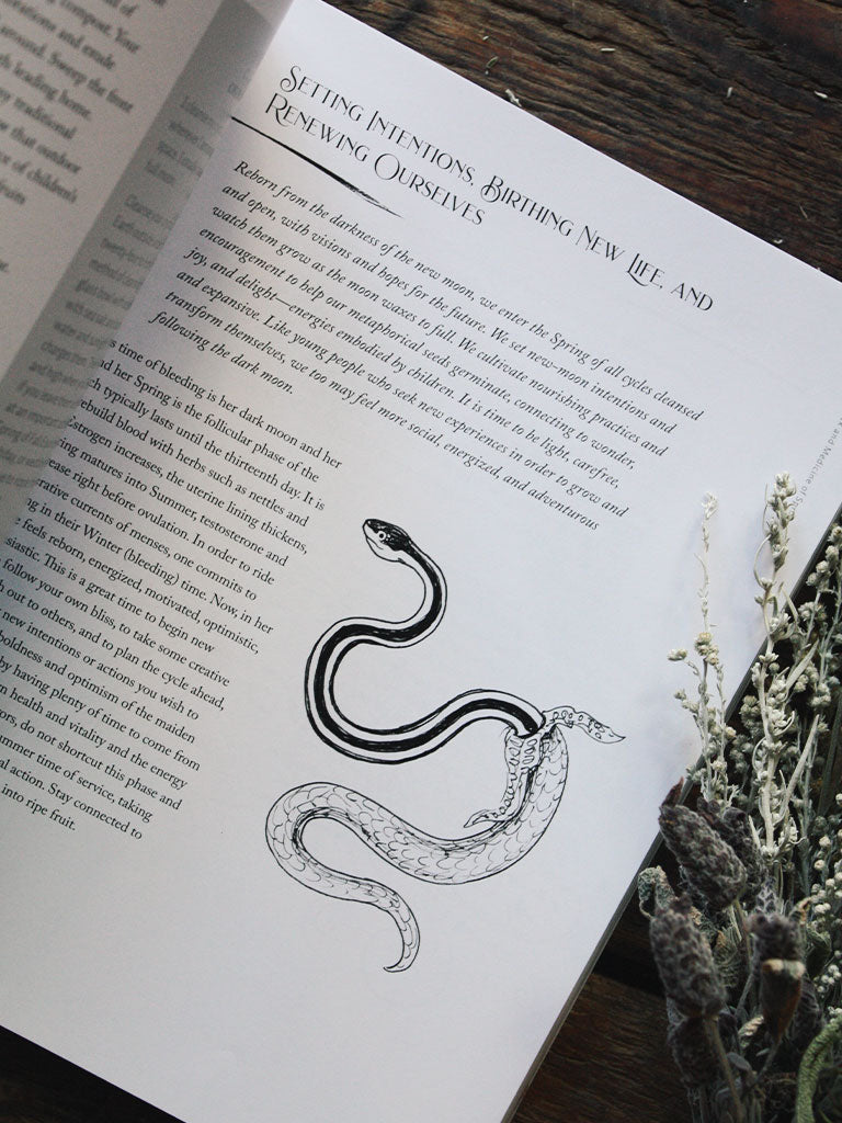 Witch's Herbal Apothecary