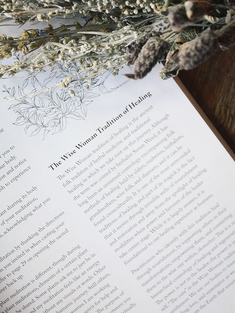 Witch's Herbal Apothecary