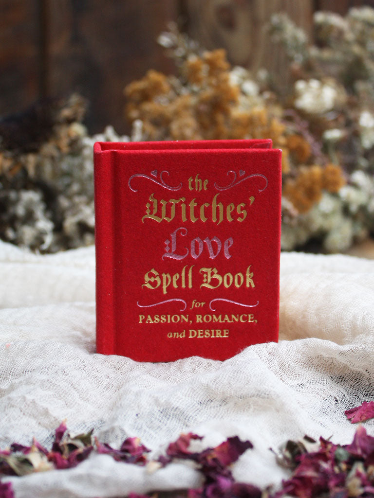 Witches' Love Spell Book