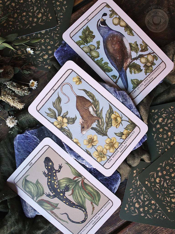 Woodland Wardens Oracle Deck - Rite of Ritual