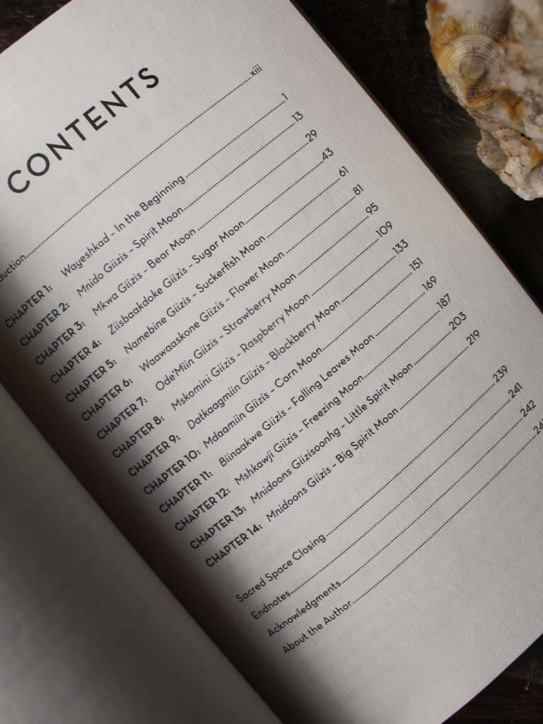 You Are the Medicine - 13 Moons of Indigenous Wisdom