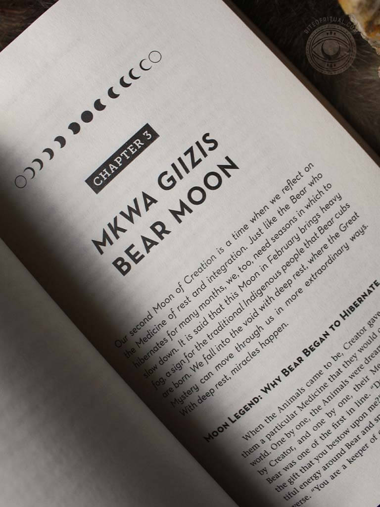 You Are the Medicine - 13 Moons of Indigenous Wisdom