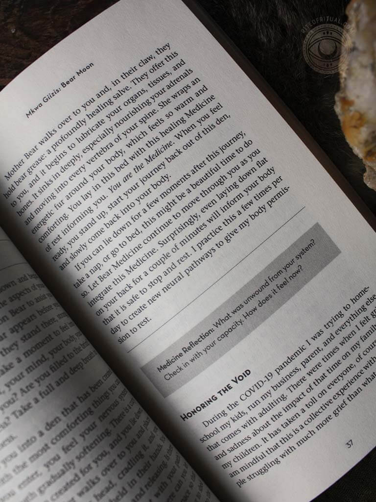 You Are the Medicine - 13 Moons of Indigenous Wisdom