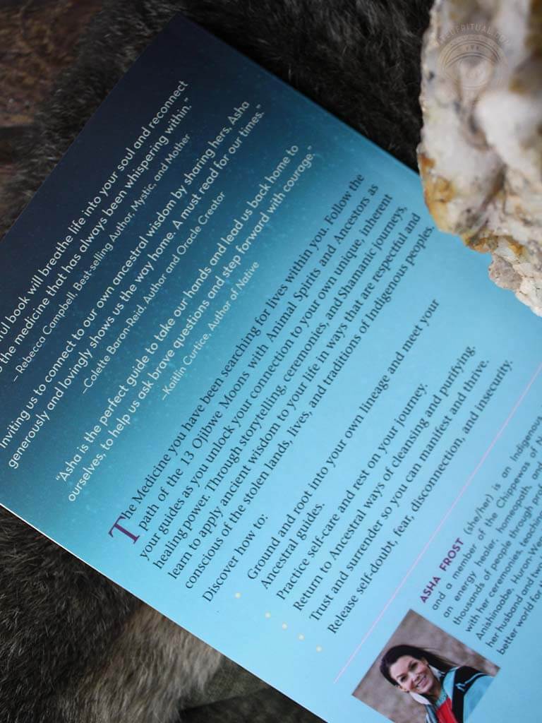 You Are the Medicine - 13 Moons of Indigenous Wisdom