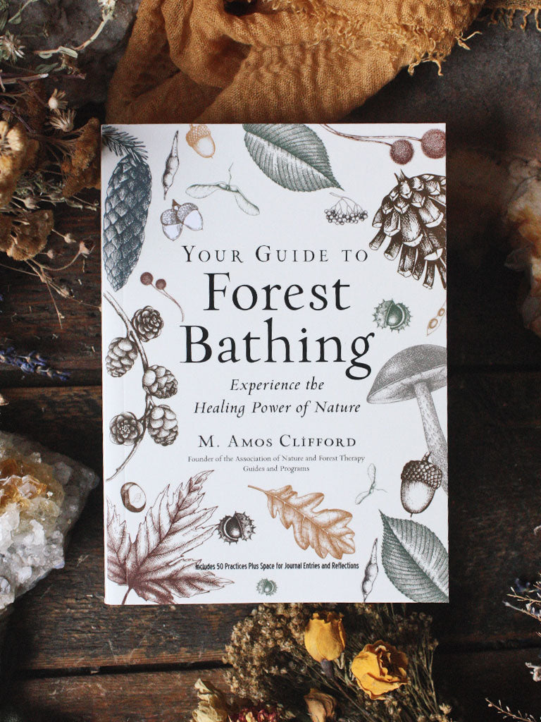 Your Guide to Forest Bathing