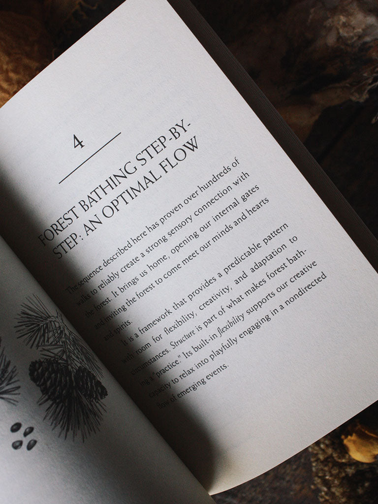 Your Guide to Forest Bathing