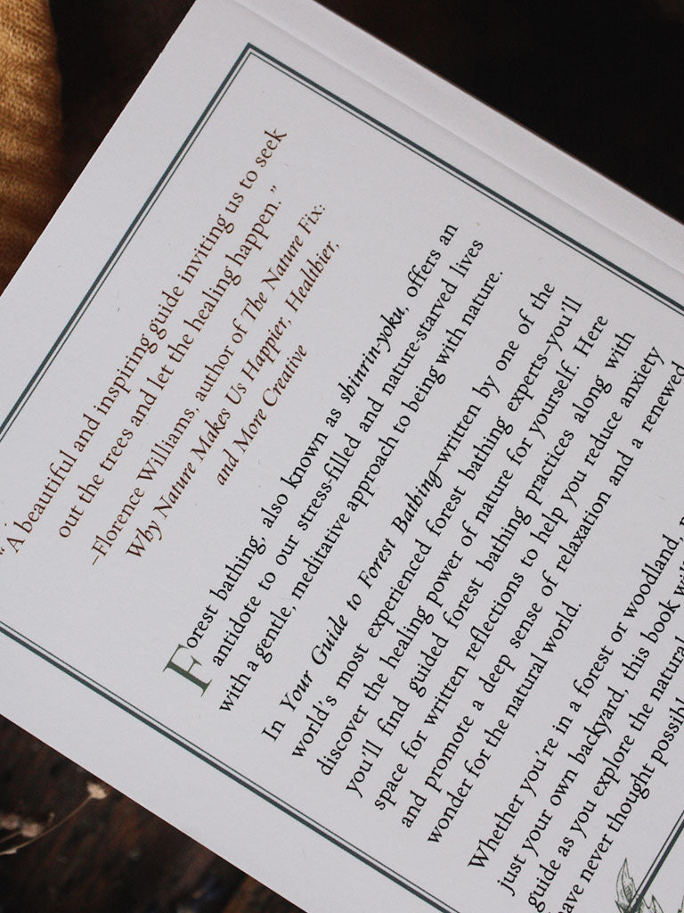 Your Guide to Forest Bathing