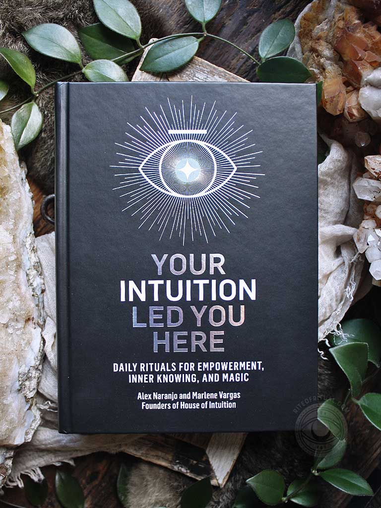 Your Intuition Led You Here Book