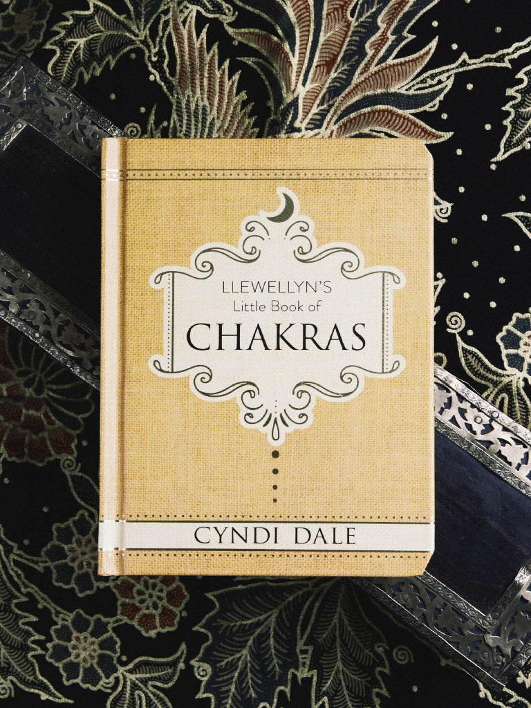 books llewellyn's little book of chakras 1