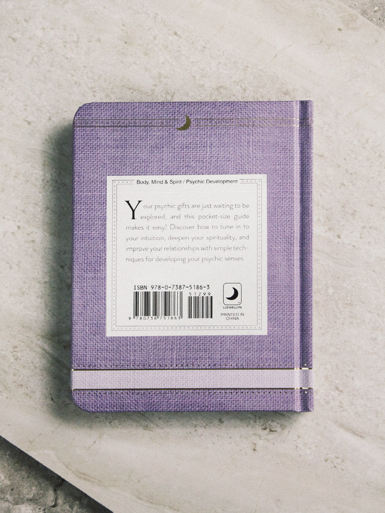 books llewellyn's little book of psychic development 2