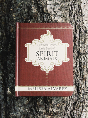 books llewellyn's little book of spirit animals 1