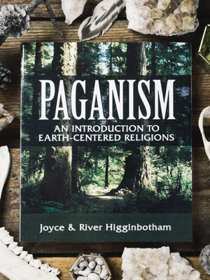 books paganism an introduction to earth centered religions 1