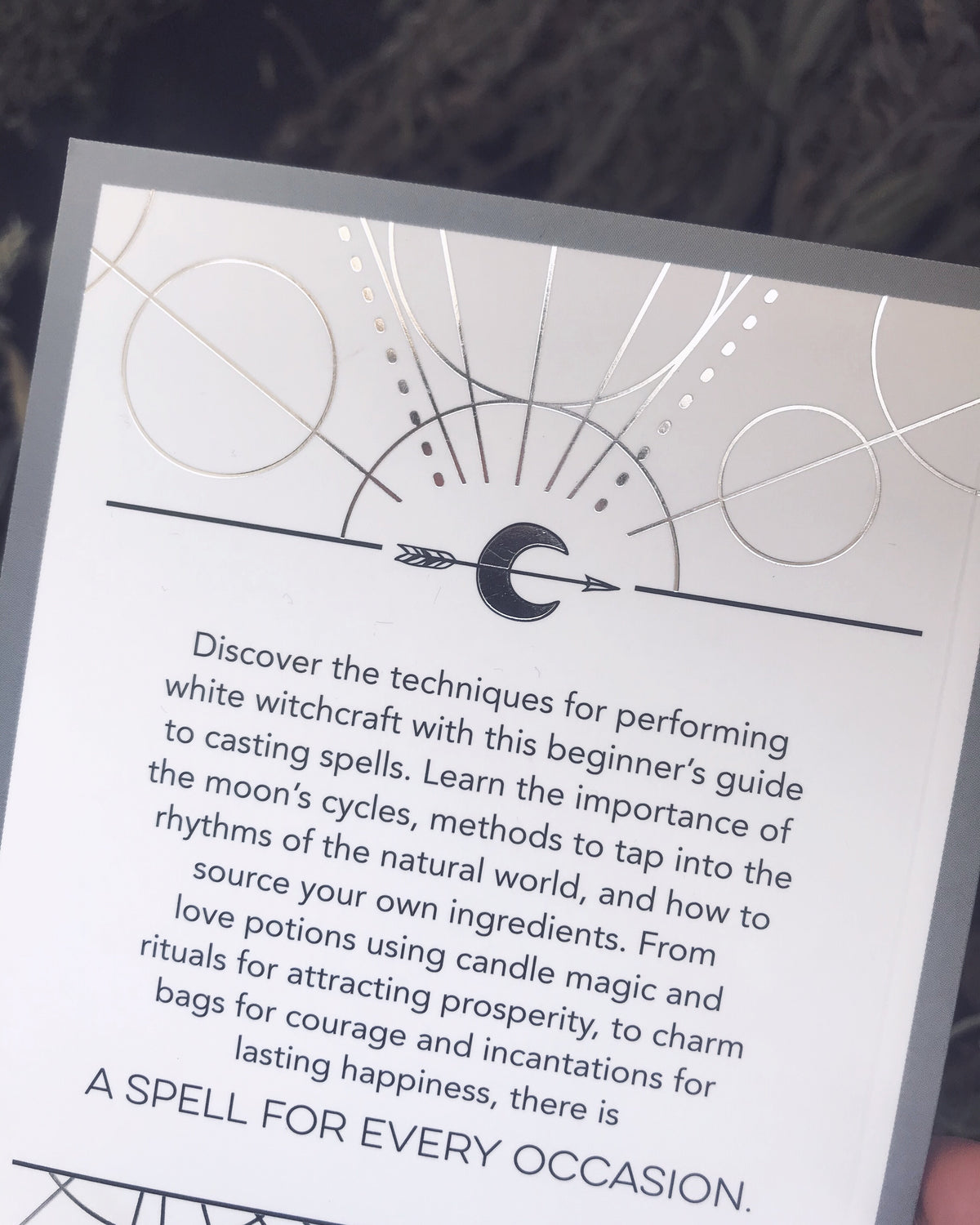 Little Book of Spells Book