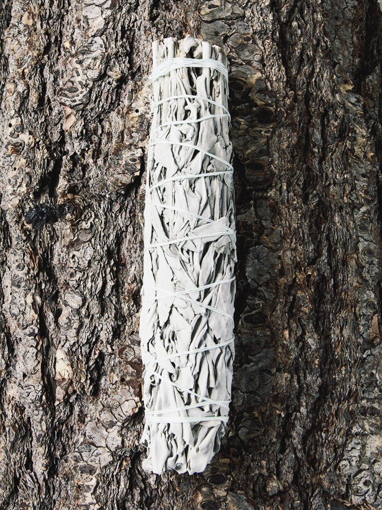 rite of ritual white sage cleansing sticks large