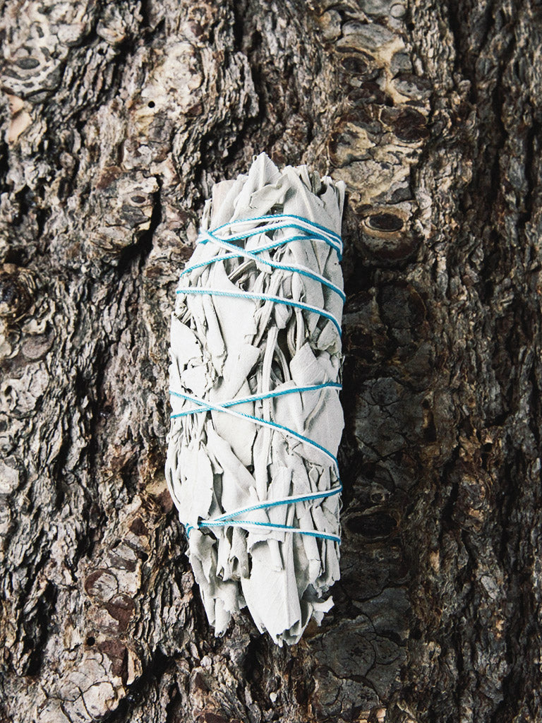 rite of ritual white sage cleansing sticks medium