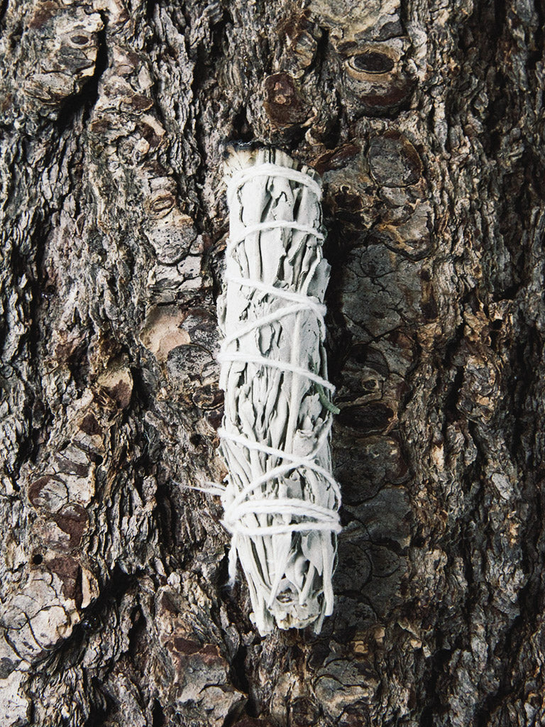 rite of ritual white sage cleansing sticks small